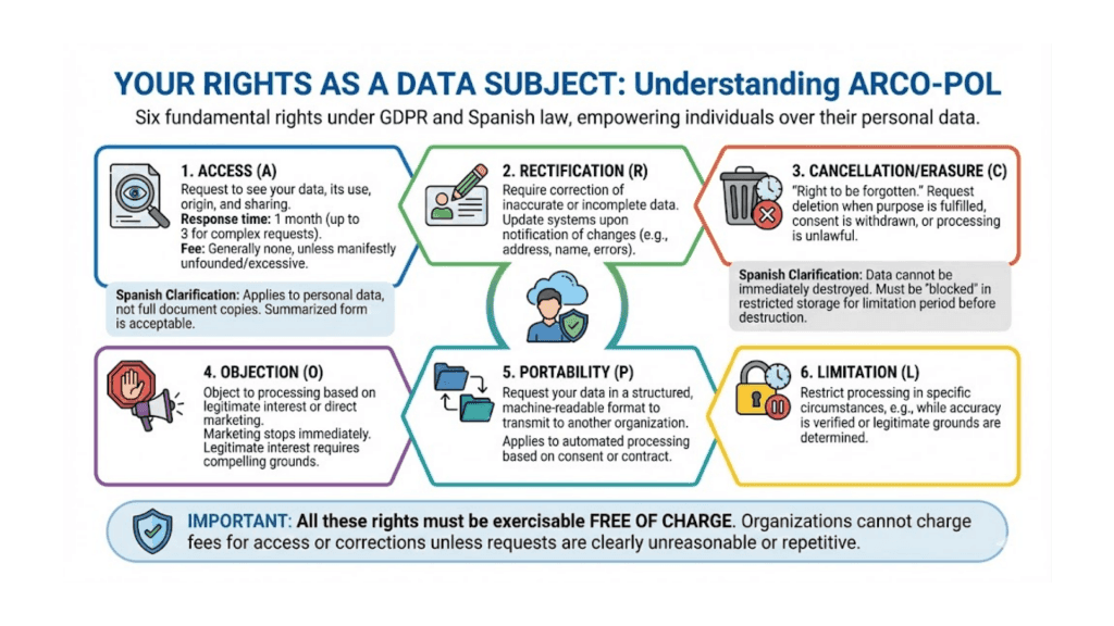 Your Rights as a Data Subject Infographic